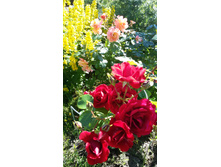 �������� ���� � ��������� ���������