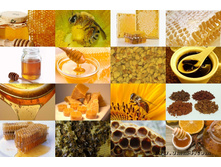 ������ ������������: ���, �����, �������� �������, ����, ��������, ��������, ���� �������, ������, ����, ��������. ������� � �������� �����