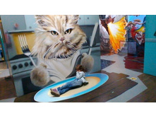 P 20170520 153840.jpg