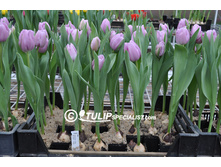 ������� ����� ������ ��-��� ���. ����..jpg