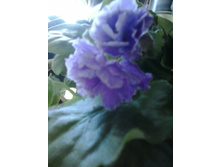 2016-06-23 14.16.10.jpg