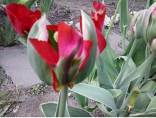 2017-05-25 17.45.35.jpg