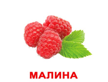 �������� �������� "�����" �������: 0393 - 155 ���.