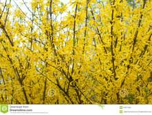 27-200 ��� ��������.jpg