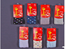 ������� ���������