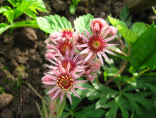 IMG 5369.JPG