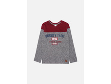 20110100077   Hollyhox        (   ).jpg