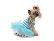 ��� ���� 11.jpg