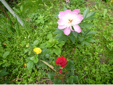 ����������� 064.jpg