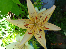 DSC03831.JPG