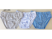 ����� ������ 3056.jpg