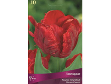 ������� ���������.jpg