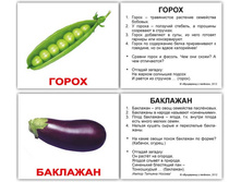 �������� �������� ����-40  "�����" �������: 0478 - 129 ���.