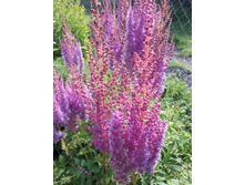 18-120��� ��������.jpg