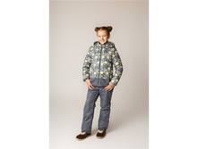 Brinco_�����_1000�