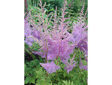 17�-110 ���.jpg