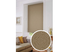 ���������, �����	��������