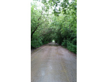 IMG 20170805 184543.jpg