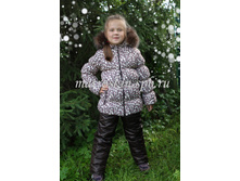 ������ ������ ����  - 3100 ���