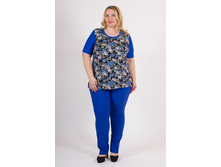 ������ SK005.37