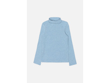 20110100081   Cowslip          (   ).jpg