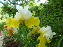 ����������� 054.jpg