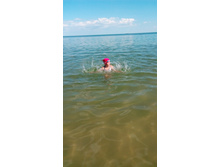 IMG 20170729 162236.jpg