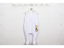 �������� 8121 ����� �� �����