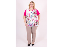 ������ SK005.31