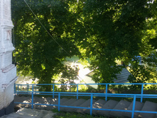 20170819 083030.jpg