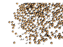 260 ���. - ������ �������� 1440 ��. ������� ?06