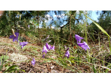 IMG 20170805 143533.jpg