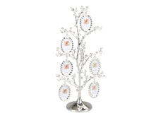 481 ���. - ����� ��� ����