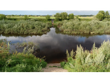 IMG 20170805 165141.jpg