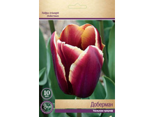 ������� ��������.jpg