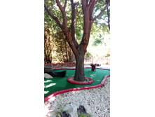 IMG 20170804 142453.jpg