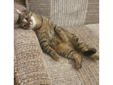 ���� �� ����� �������� ���� - � ���� � ������ ������� �������� ...