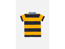 20120110072   Snapdragon            (      ).jpg