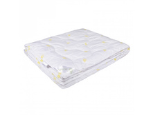 ���� ������������ ���. ���2 172*205