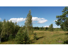 IMG 20170805 150813.jpg