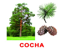 �������� �������� "�������" �������: 0584 - 159 ���.