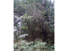 �������)