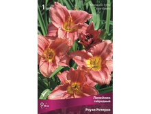 �������� ��������� ����� �������.jpg