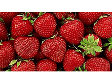 ��������� �����, 50���..gif