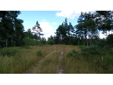 IMG 20170805 145226.jpg