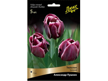 ������� ��������� ������.jpg