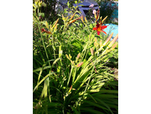 19-100���. ��������.jpg