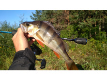 IMG 20170806 062158.jpg