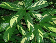 �������� ������ ������ -400 ���.