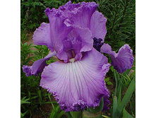 ���� ������ ����.jpg